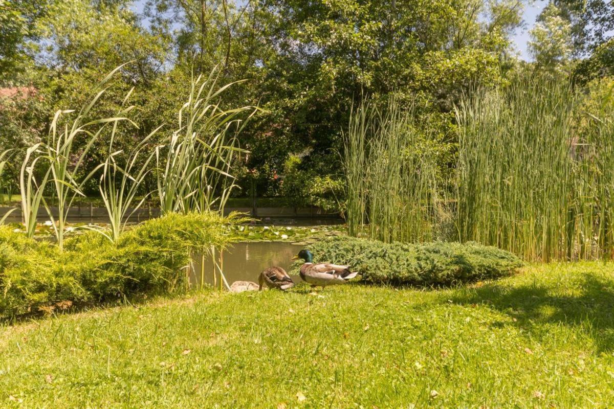Les Trois Faisans Hotel Bligny-sur-Ouche ภายนอก รูปภาพ