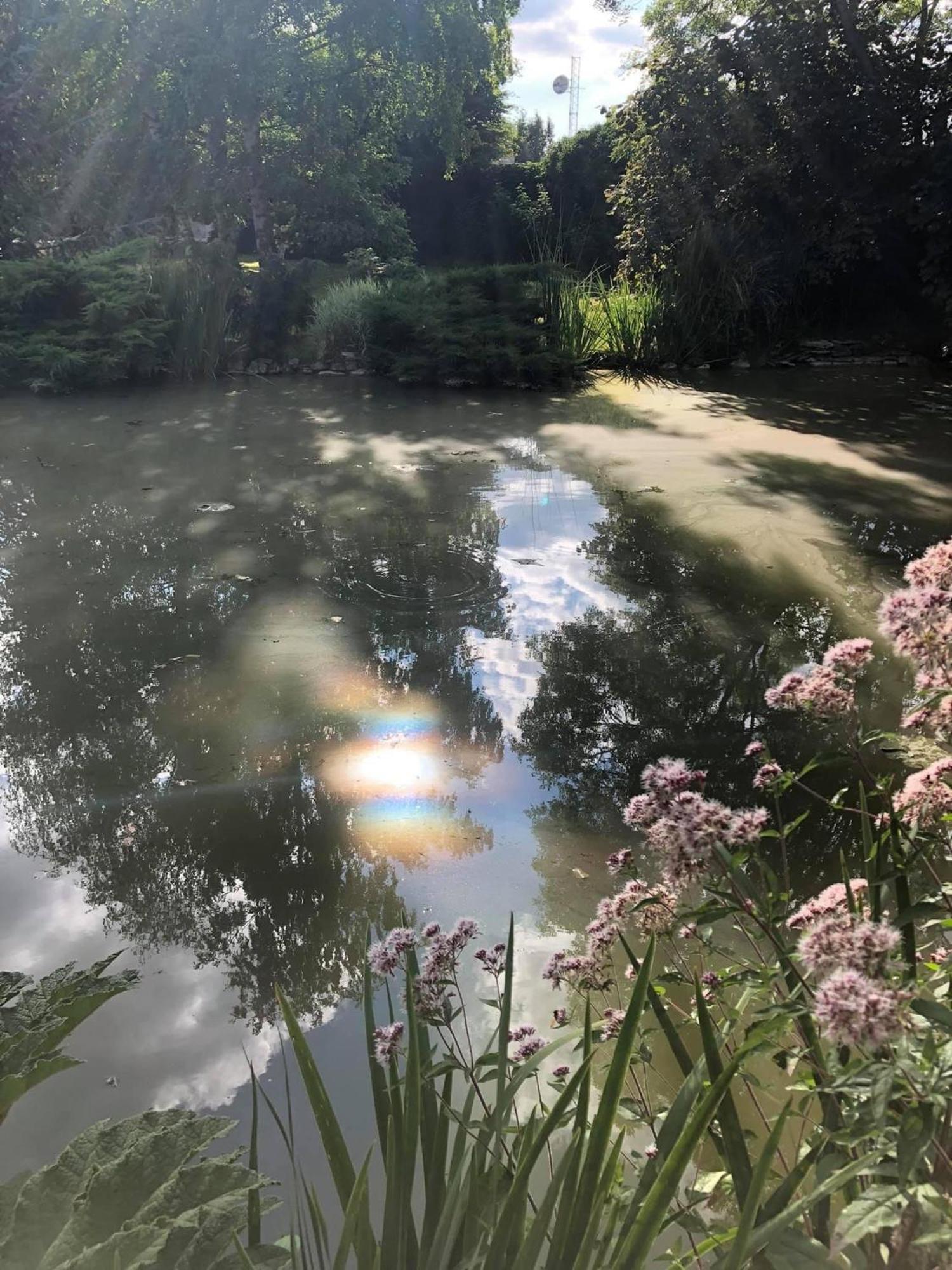 Les Trois Faisans Hotel Bligny-sur-Ouche ภายนอก รูปภาพ